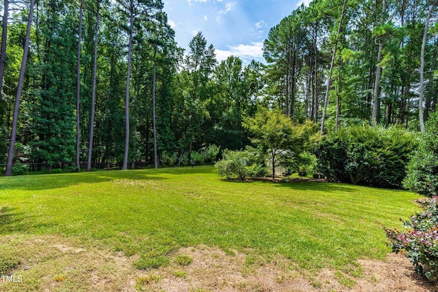 10520 Leafwood Pl, Raleigh, NC 27613 - photo 45