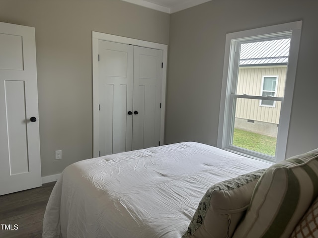 1849 N Main St, Roxboro, NC 27573 - bedroom with dark wood-type flooring, multiple windows, and a closet