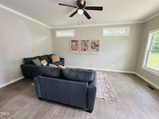 1849 N Main St, Roxboro, NC 27573 - living room featuring wood finished floors, ornamental molding, and a ceiling fan