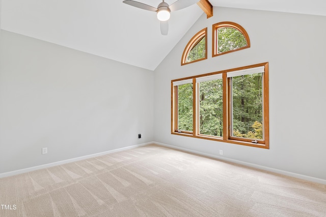 301 Stone Currie Dr, Hillsborough, NC 27278 - photo 51