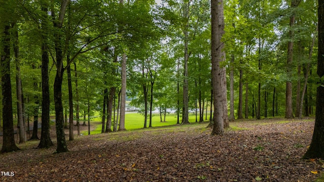 301 Stone Currie Dr, Hillsborough, NC 27278 - photo 66