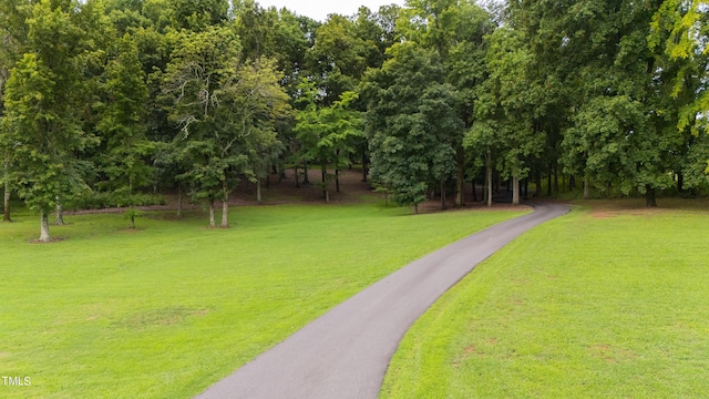 301 Stone Currie Dr, Hillsborough, NC 27278 - photo 67