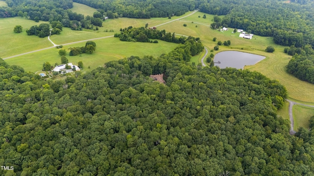 301 Stone Currie Dr, Hillsborough, NC 27278 - photo 71