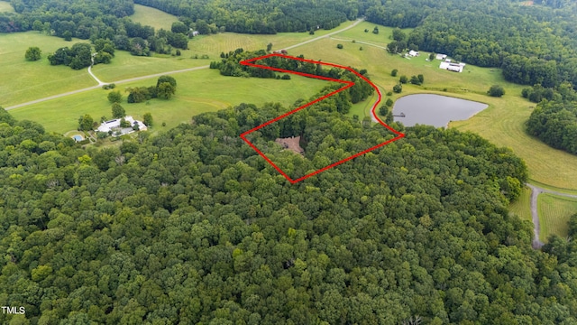 301 Stone Currie Dr, Hillsborough, NC 27278 - photo 72