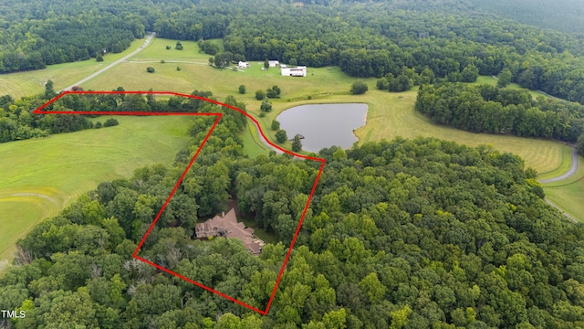 301 Stone Currie Dr, Hillsborough, NC 27278 - photo 73