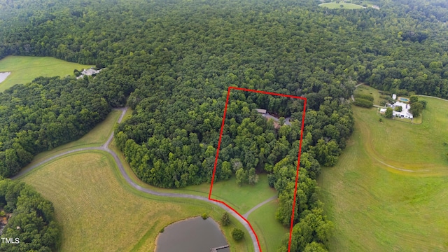 301 Stone Currie Dr, Hillsborough, NC 27278 - photo 74