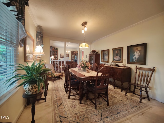 6517 Whitted Rd, Fuquay Varina, NC 27526 - dining space with crown molding, a textured ceiling, and light carpet