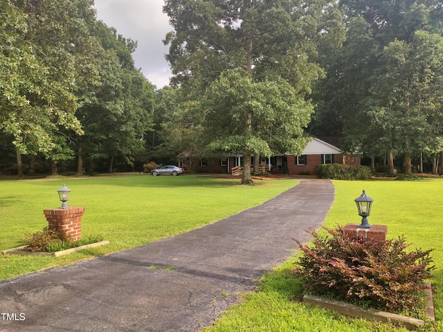 6517 Whitted Rd, Fuquay Varina, NC 27526 - view of property's community with a lawn and asphalt driveway