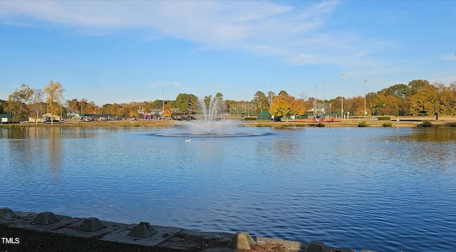 407 E Williams St, Angier, NC 27501 - water view