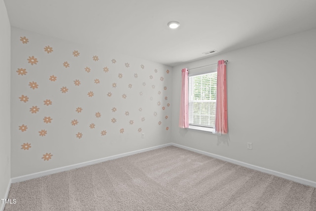 134 David Hill Dr, Sanford, NC 27330 - photo 39