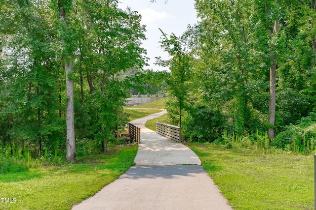 134 David Hill Dr, Sanford, NC 27330 - photo 45