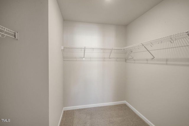 1923 Hinesley Dr, Durham, NC 27703 - spacious closet featuring carpet floors