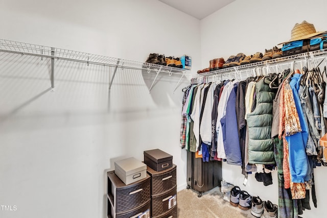 133 Ogden Pond Pl, Zebulon, NC 27597 - walk in closet featuring carpet flooring