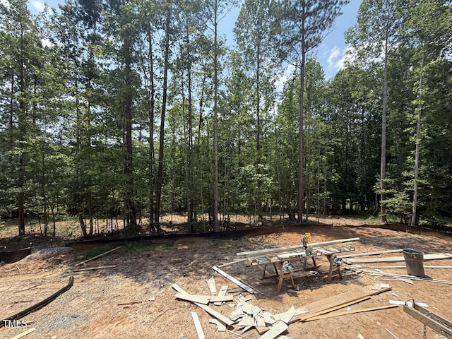 1513 Rock Dove Way, Raleigh, NC 27614 - view of yard