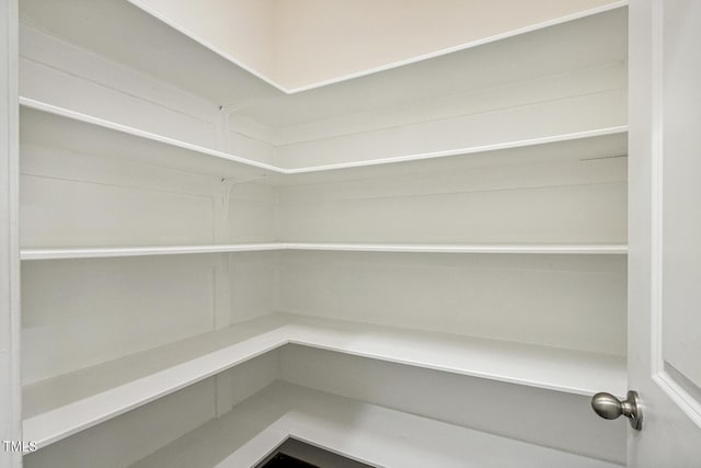 261 Begen St, Morrisville, NC 27560 - view of pantry