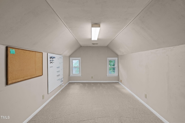5313 Falkirk Dr, Durham, NC 27712 - bonus room with lofted ceiling and carpet floors