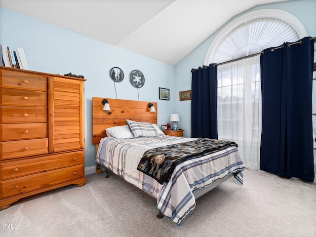 171 Winding Oak Way, Clayton, NC 27520 - bedroom with light carpet and lofted ceiling