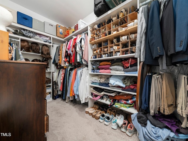 171 Winding Oak Way, Clayton, NC 27520 - spacious closet featuring carpet floors