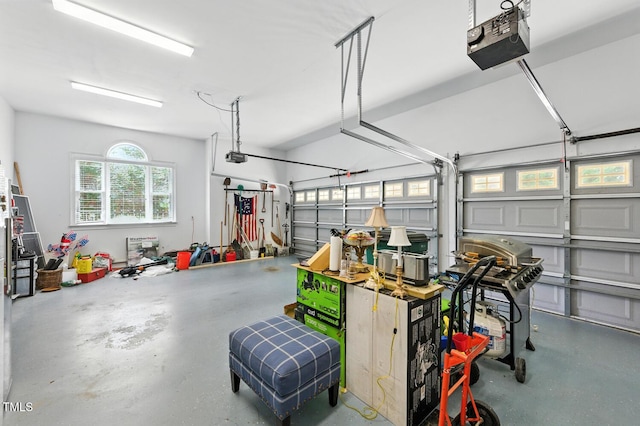 137 Forked Pine Ct, Chapel Hill, NC 27517 - garage with a garage door opener