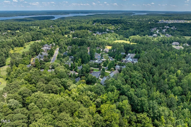 137 Forked Pine Ct, Chapel Hill, NC 27517 - aerial view of a forest