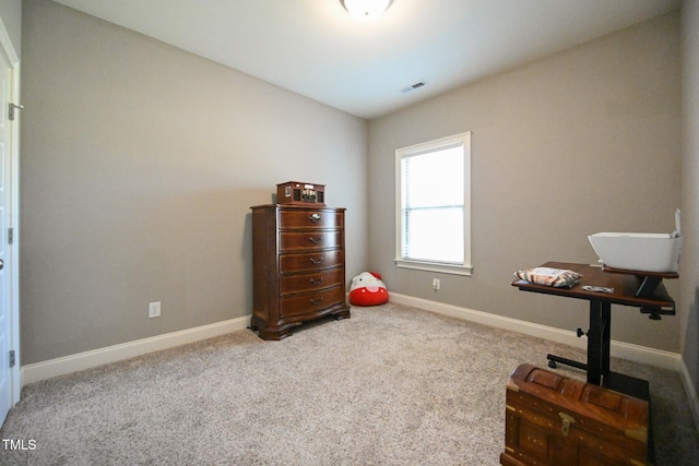 37 Gardenia Ct, Benson, NC 27504 - photo 43