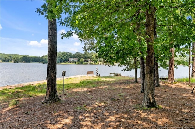 1381 Illinois Ave, Sanford, NC 27332 - photo 3