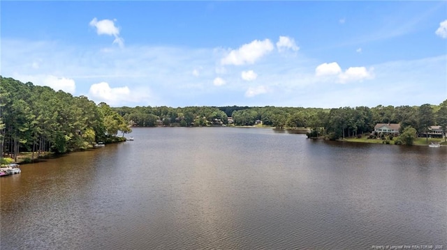 1381 Illinois Ave, Sanford, NC 27332 - photo 4