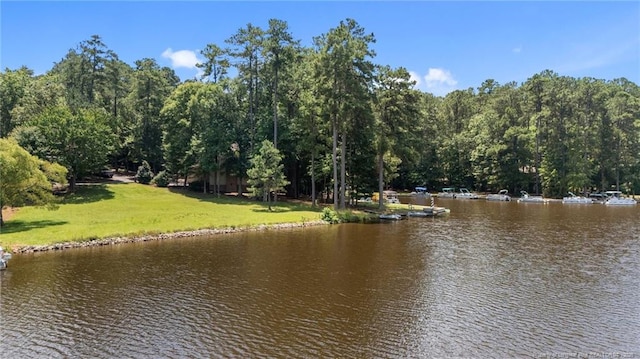 1381 Illinois Ave, Sanford, NC 27332 - photo 28