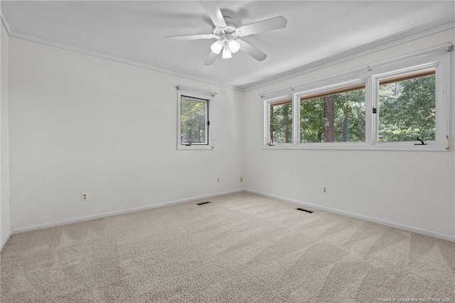 1381 Illinois Ave, Sanford, NC 27332 - photo 42