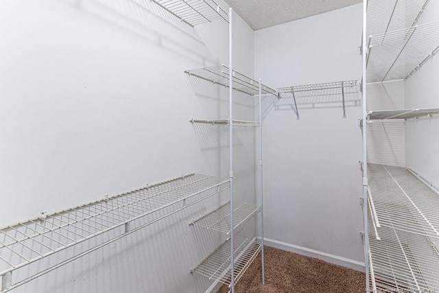 4105 Freedom Ln, Hope Mills, NC 28348 - spacious closet featuring carpet floors