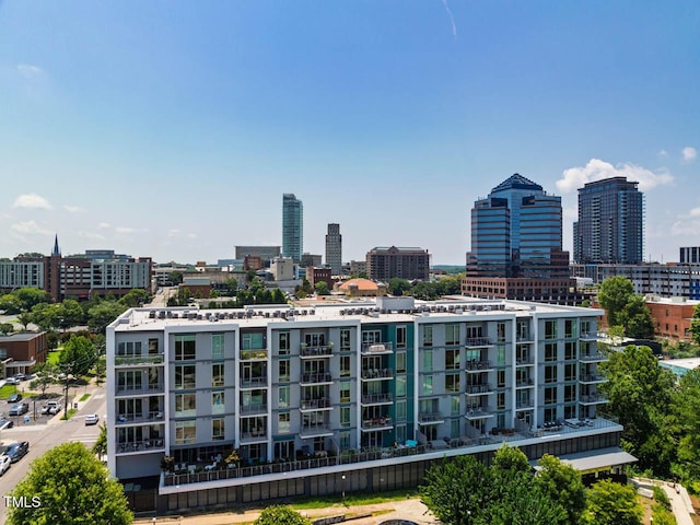 214 Hunt St Unit 503, Durham, NC 27701 - view of city