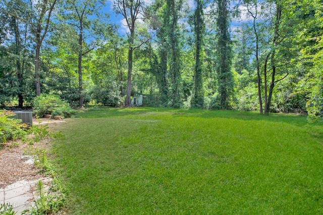 241 Dogwood Ln, Lillington, NC 27546 - photo 33