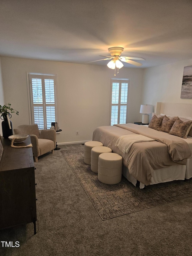 112 W Skyhawk Dr, Cary, NC 27519 - carpeted bedroom with multiple windows and ceiling fan