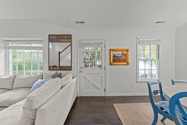 1300 Dylan Heath Ct, Raleigh, NC 27608 - living room featuring dark wood finished floors, healthy amount of natural light, and ornamental molding