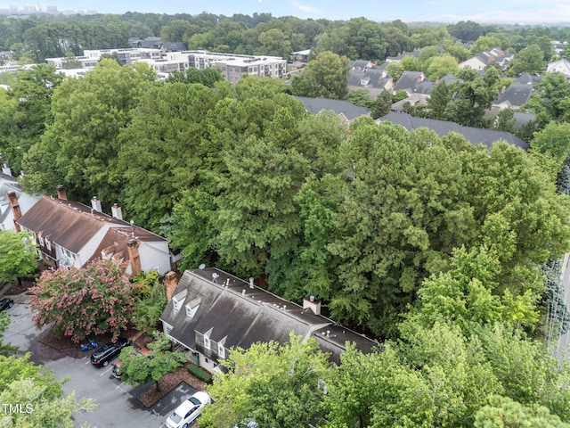 1300 Dylan Heath Ct, Raleigh, NC 27608 - bird's eye view
