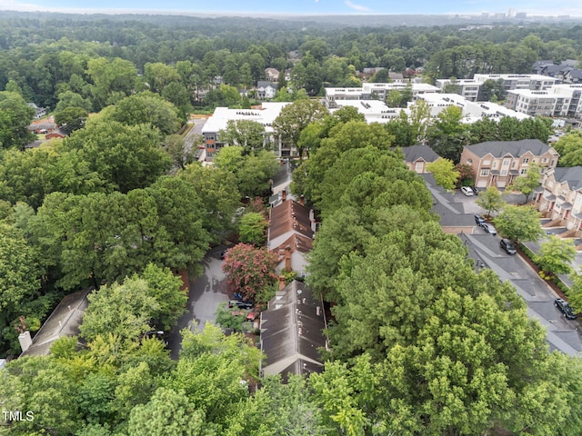 1300 Dylan Heath Ct, Raleigh, NC 27608 - bird's eye view