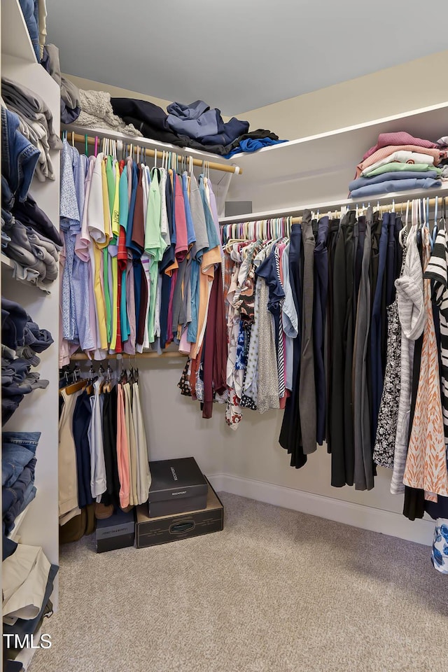 1224 Marshall Farm St, Wake Forest, NC 27587 - spacious closet featuring carpet flooring
