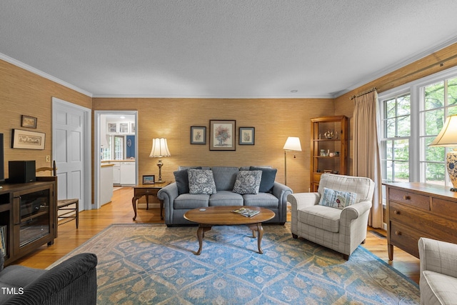 906 Grove St, Chapel Hill, NC 27517 - living room featuring a textured ceiling, wood finished floors, and crown molding