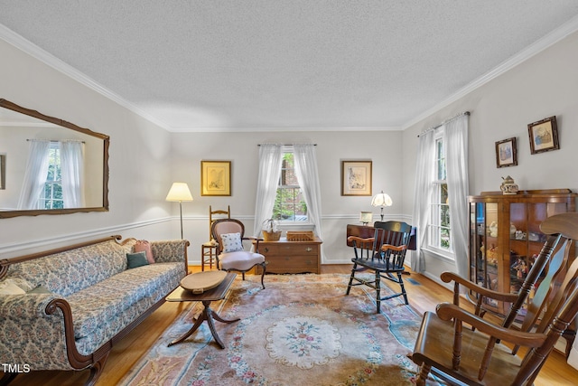 906 Grove St, Chapel Hill, NC 27517 - living area with wood finished floors, healthy amount of natural light, a textured ceiling, and ornamental molding