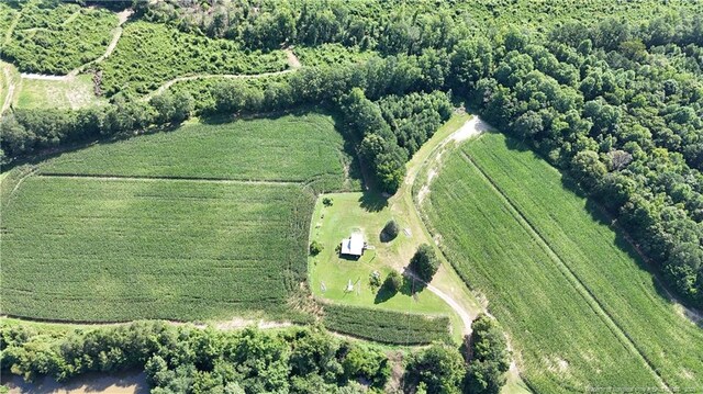 2706 Leaflet Church Rd, Broadway, NC 27505 - photo 1