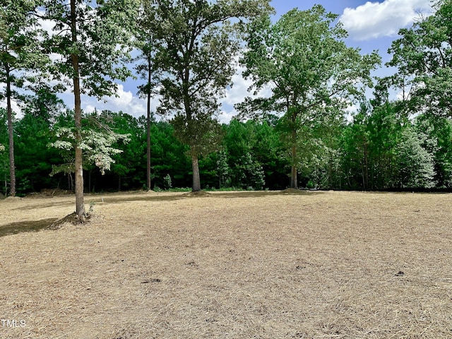 319 Dry Branch Dr, Kenly, NC 27542 - photo 5