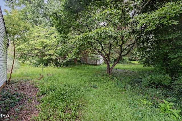 4737 Rosehill Rd, Fayetteville, NC 28311 - photo 33