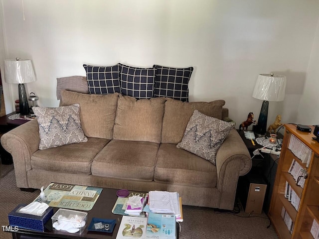 904-906 Mckay Ave, Dunn, NC 28334 - living area with carpet flooring