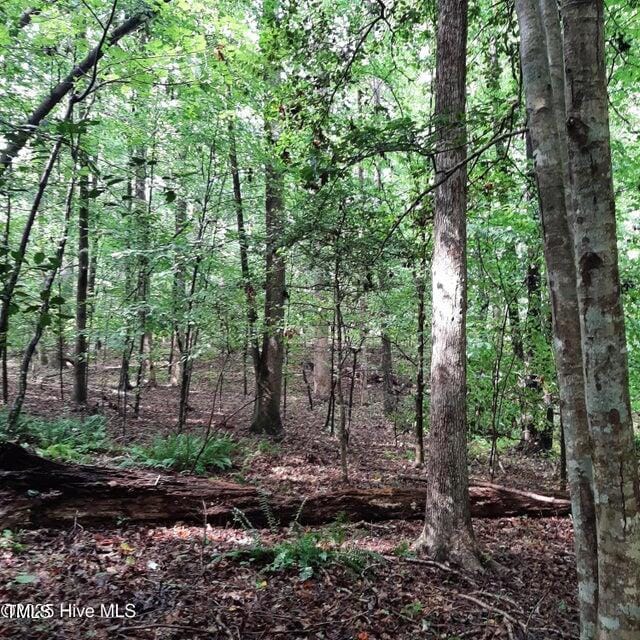 0 Bowden Rd, Spring Hope, NC 27882