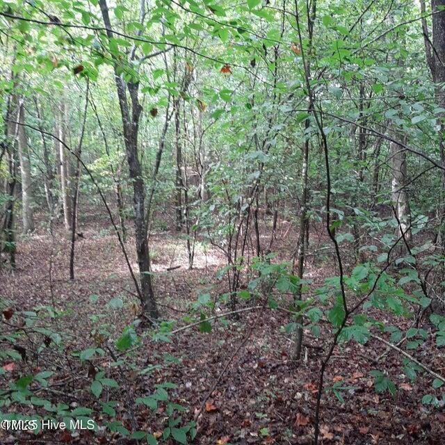 0 Bowden Rd, Spring Hope, NC 27882