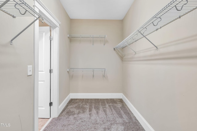 4324 Brighton Ridge Dr, Apex, NC 27539 - spacious closet featuring carpet floors