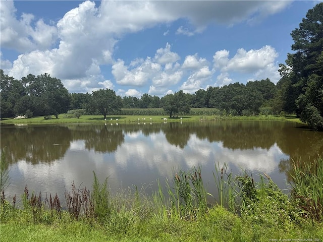 2608 Leaflet Church Rd, Broadway, NC 27505 - photo 13