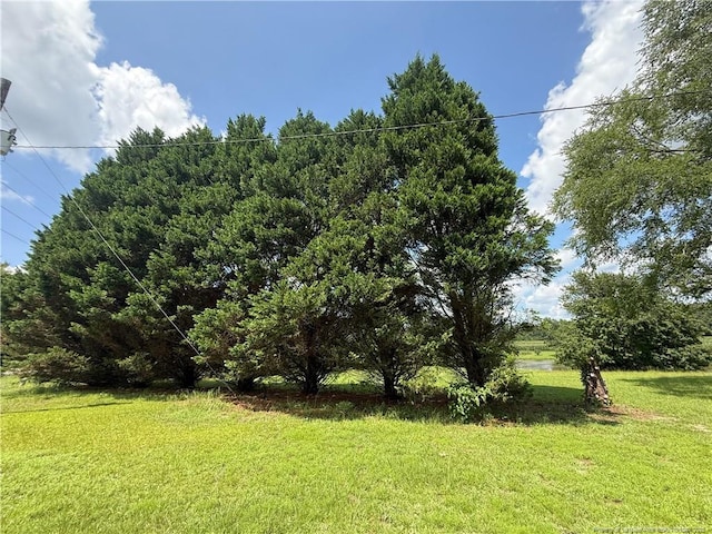 2608 Leaflet Church Rd, Broadway, NC 27505 - photo 19