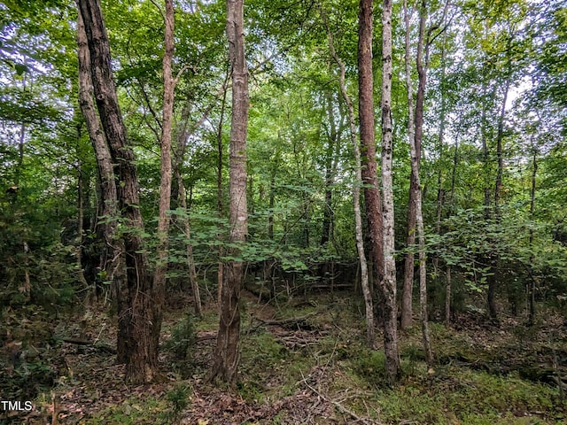 0 Doc Bass Rd, Timberlake, NC 27583 - photo 10