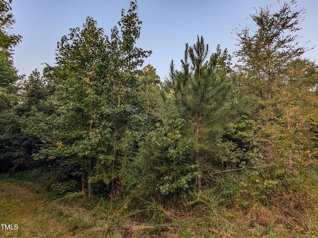 0 Doc Bass Rd, Timberlake, NC 27583 - photo 12